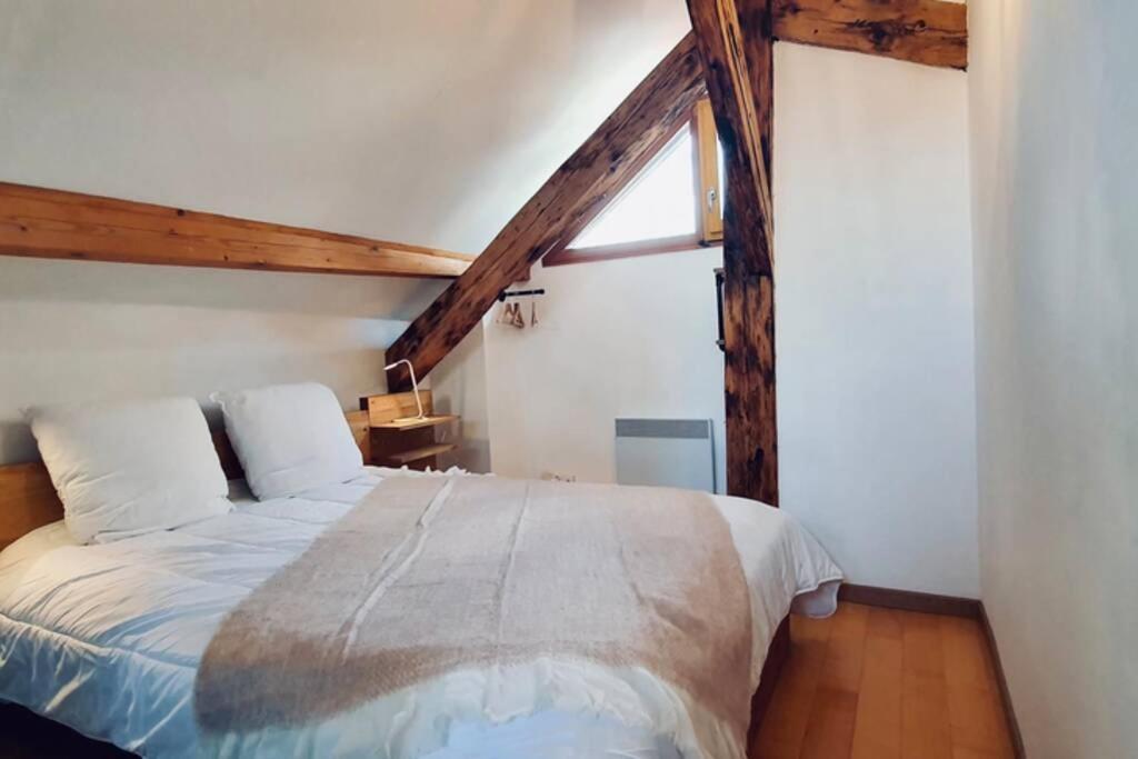 Appartement L’appart du Pâquier à Annecy Extérieur photo